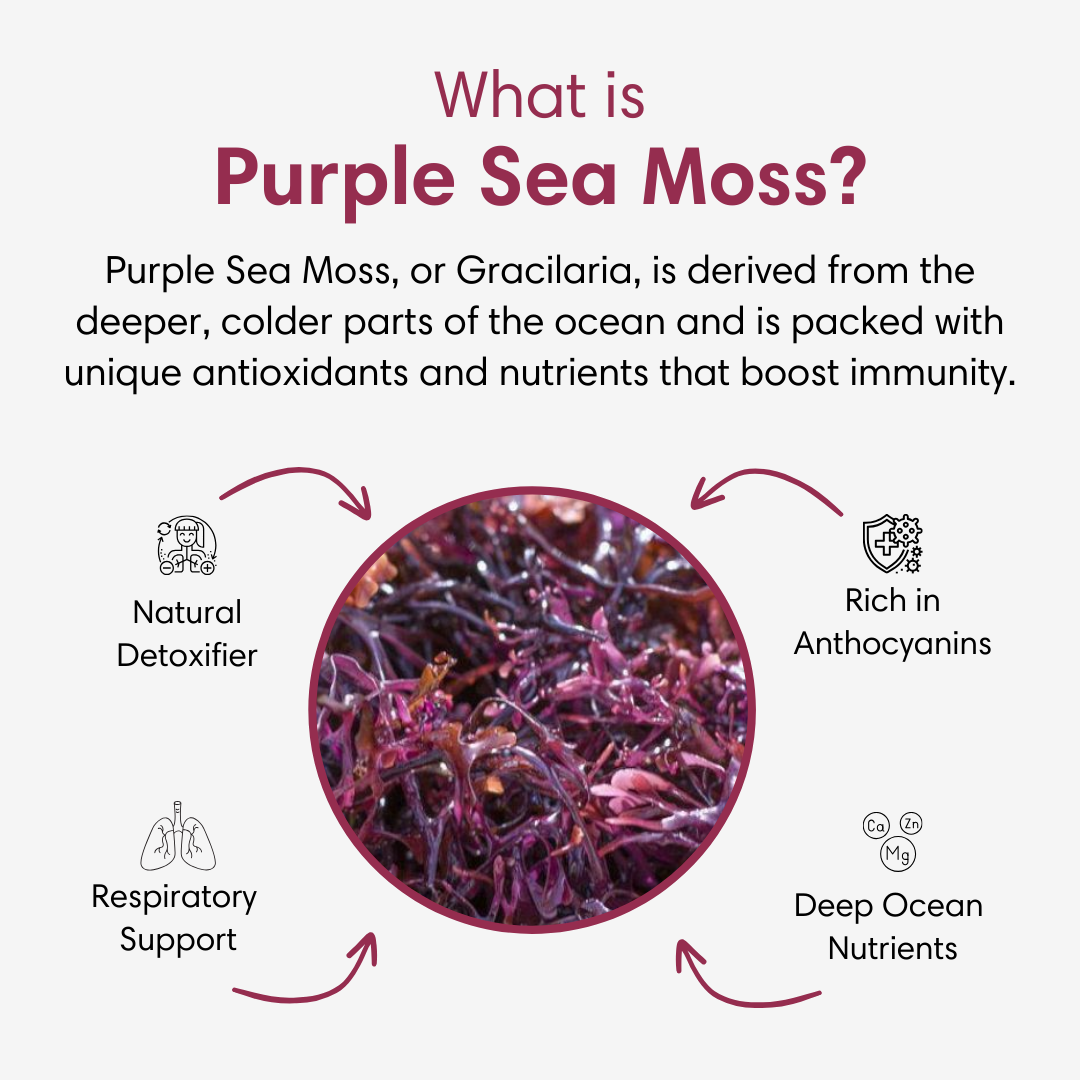 Purple Sea Moss Gel