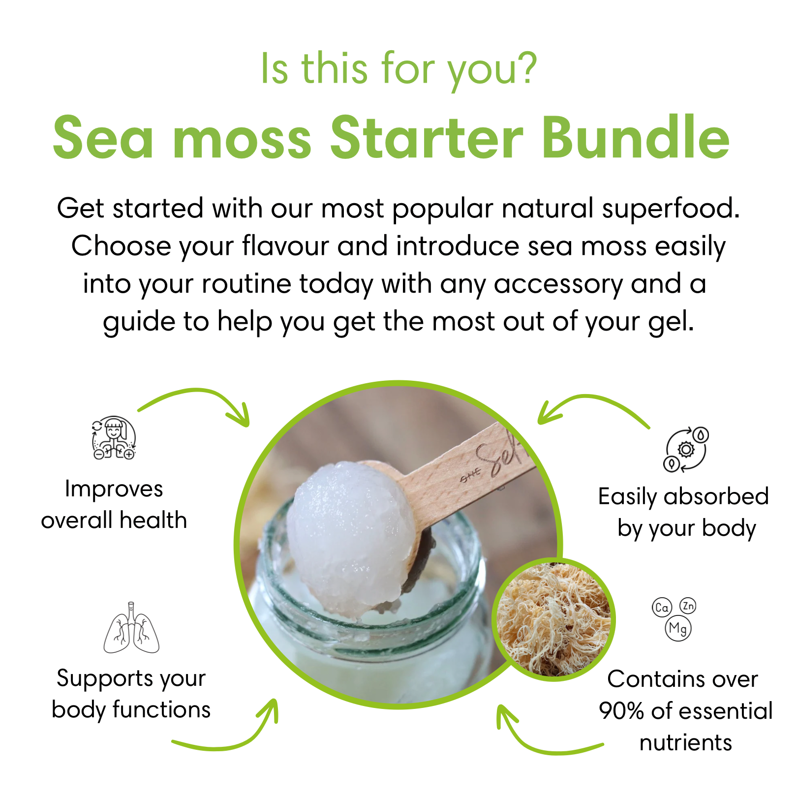 Sea moss Starter Pack