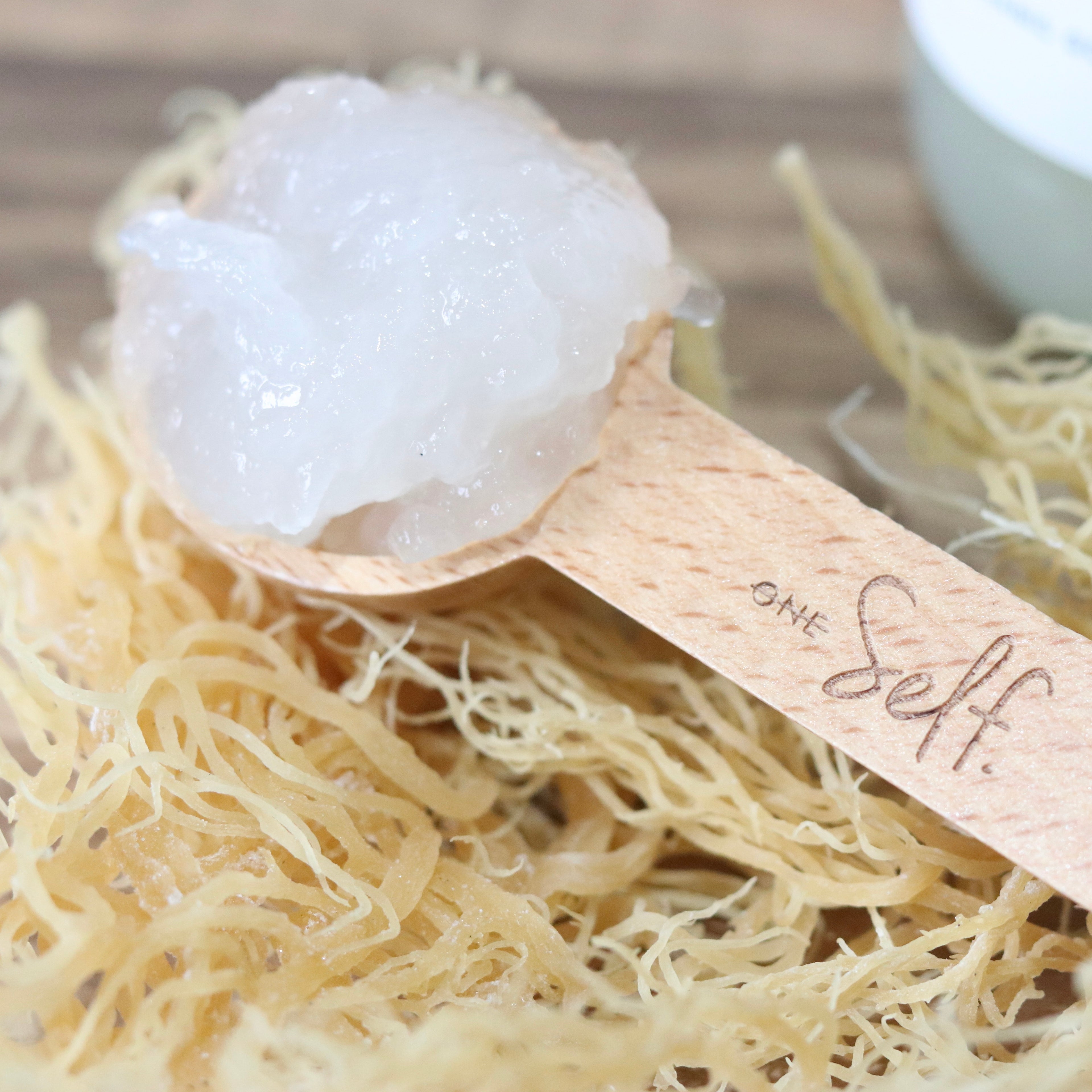 Sea moss Spoon