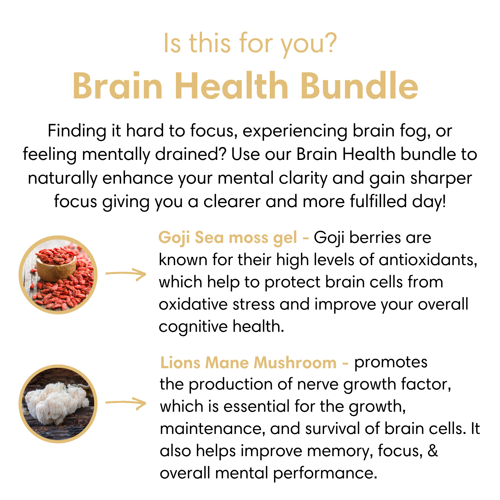 Brain Health Bundle