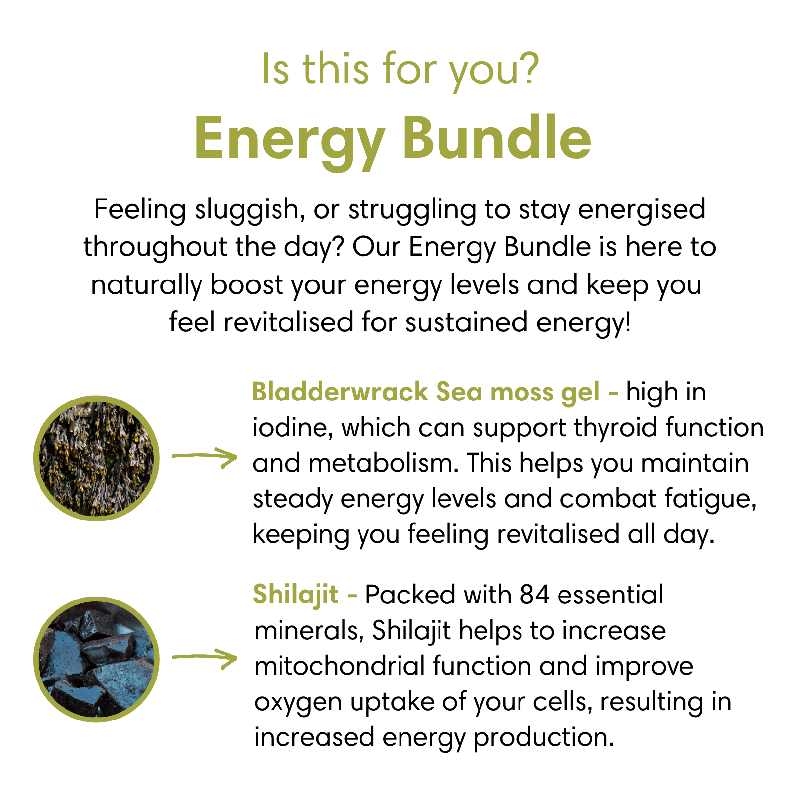 Energy Bundle