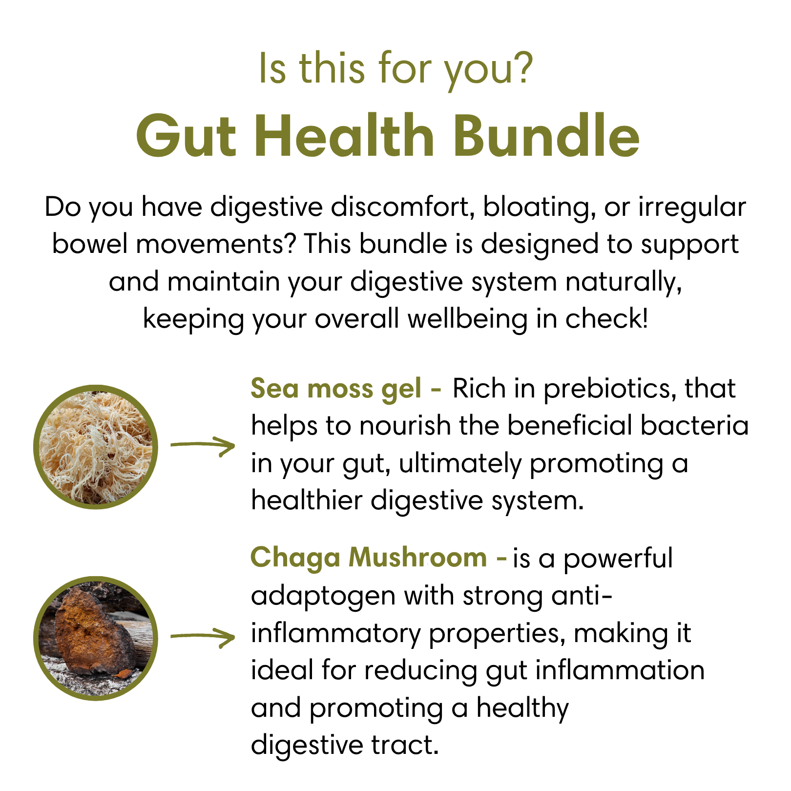 Gut Health Bundle