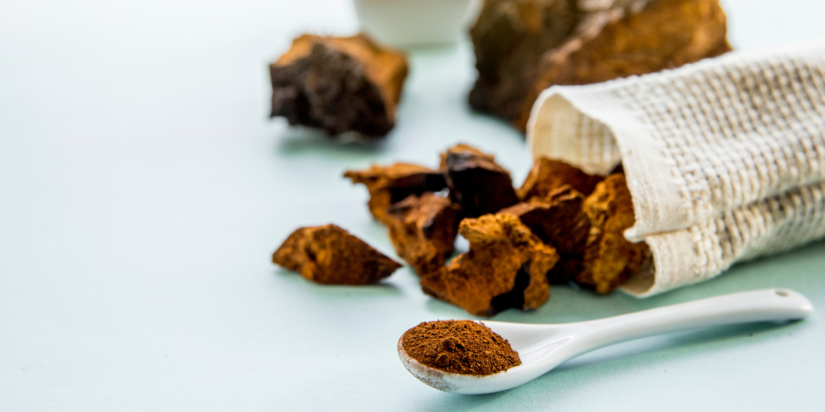Chaga Mushroom's sleep- boosting benefits for a more restorative rest!