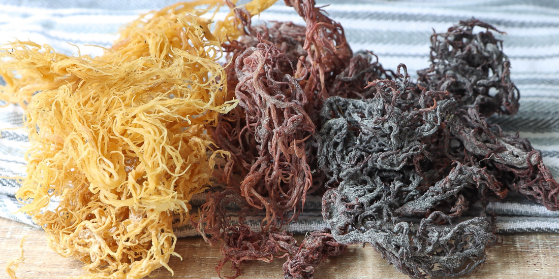 What are the 92 minerals found in Sea moss?