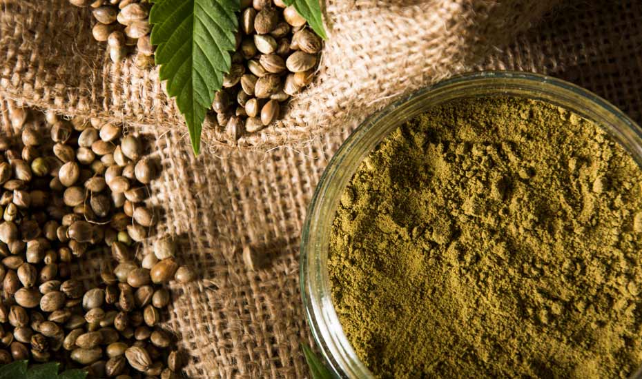 Power up with Hemp Protein