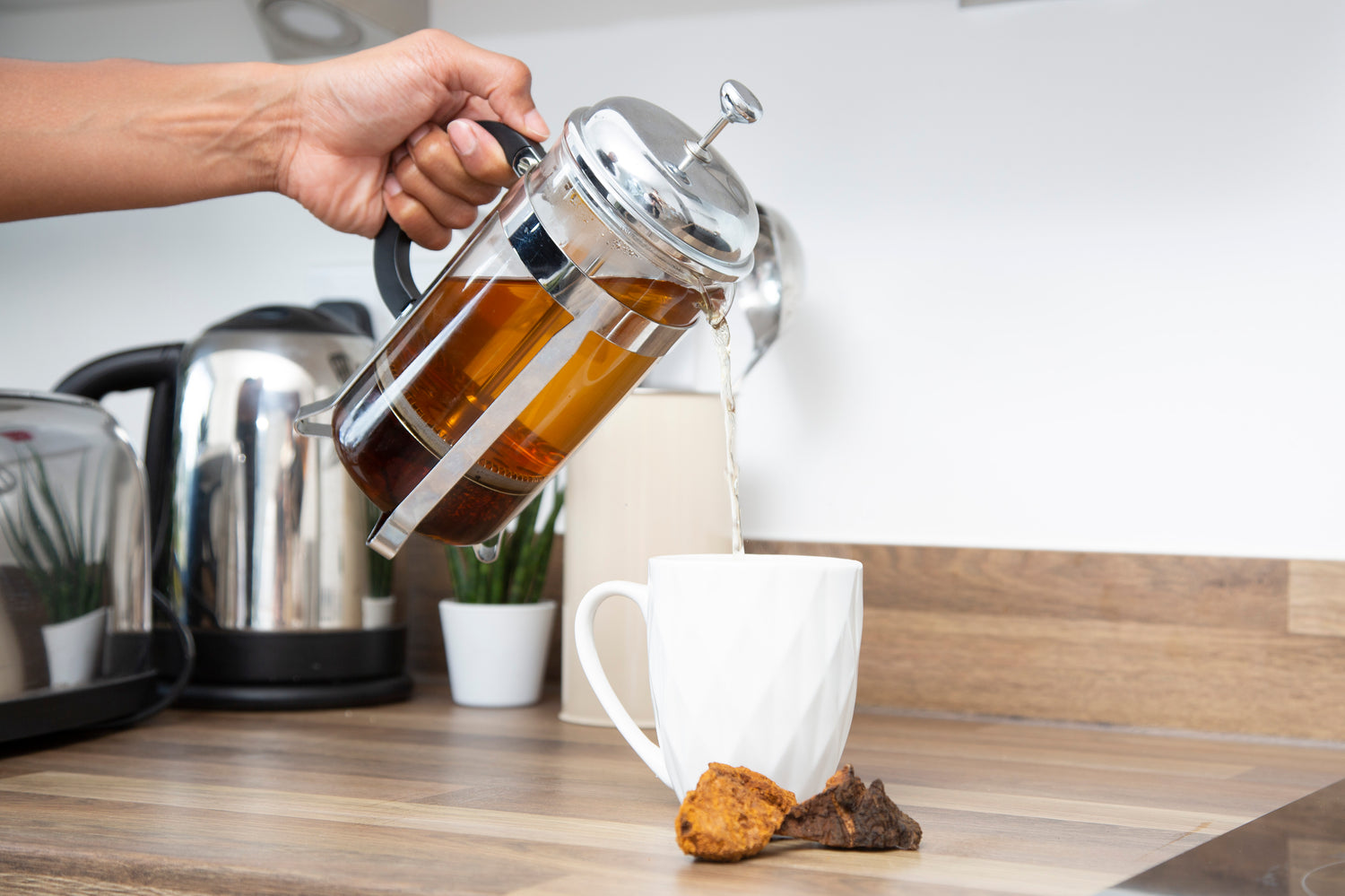 Chaga Mushroom