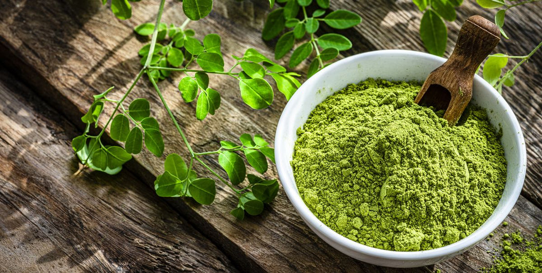 Moringa - the most nutritious food? Well here’s what you need to know..