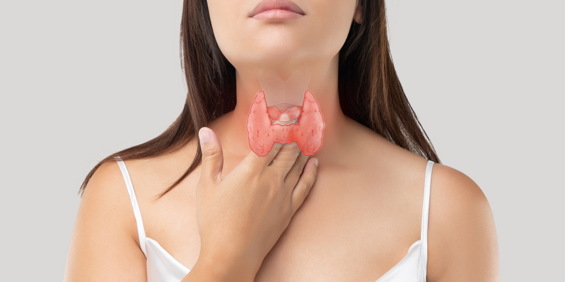 Seamoss’ benefits to a healthy thyroid