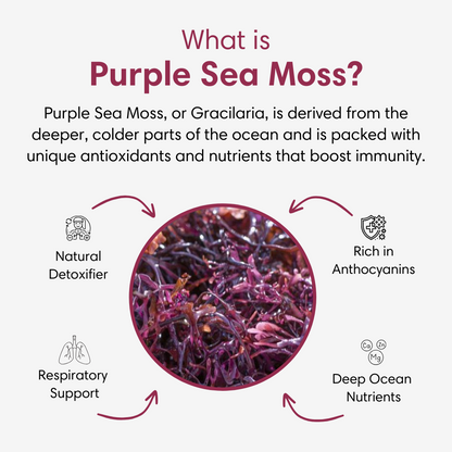Purple Sea Moss Gel