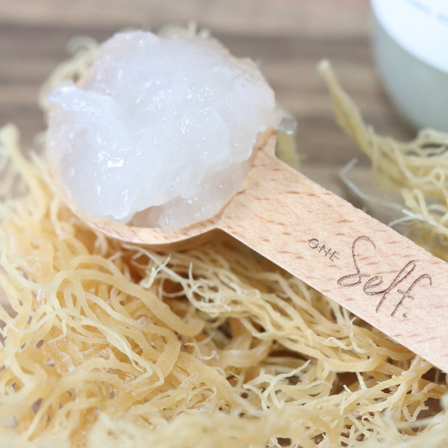 Sea moss Spoon